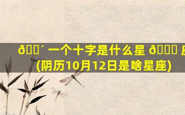 🌴 一个十字是什么星 💐 座(阴历10月12日是啥星座)